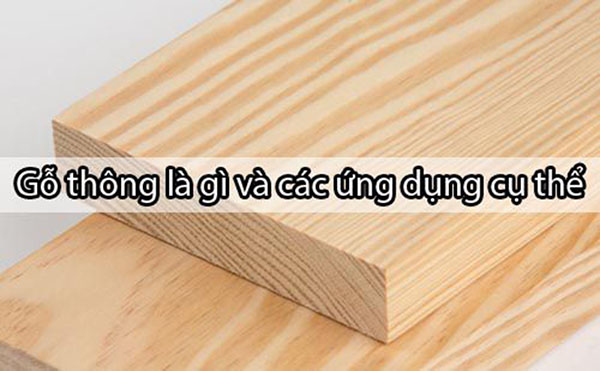 Gỗ thông có tốt không? Ưu điểm, nhược điểm của gỗ thông?